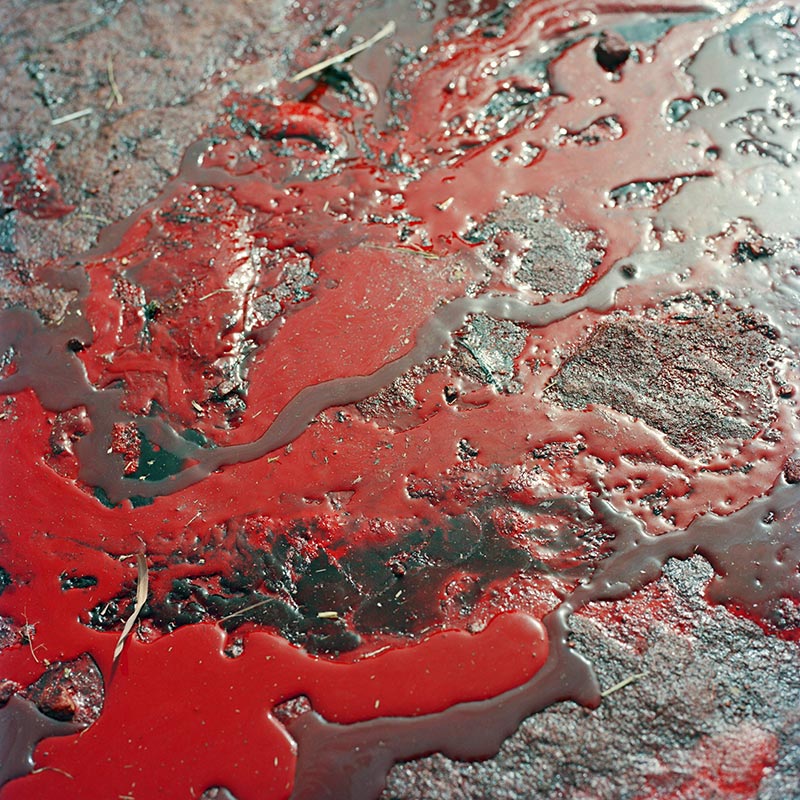 blood.jpg->description